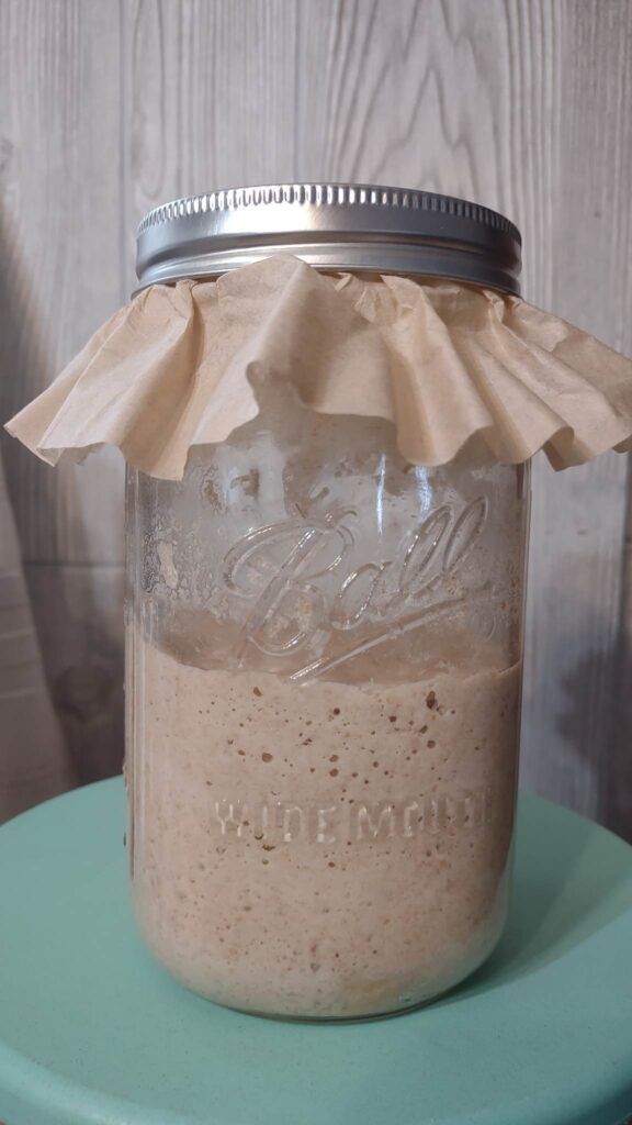 fresh milled flour sourdough starter in mason jar