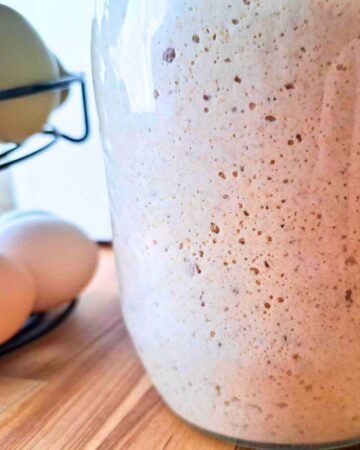 fresh milled flour sourdough starter
