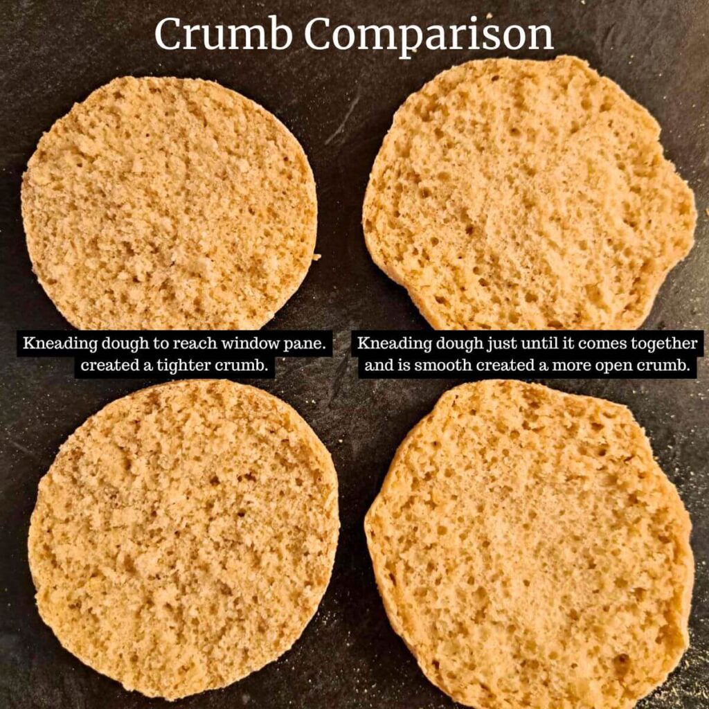 crumb comparison for fresh milled flour English muffins kneaded just until smooth versus windowpane