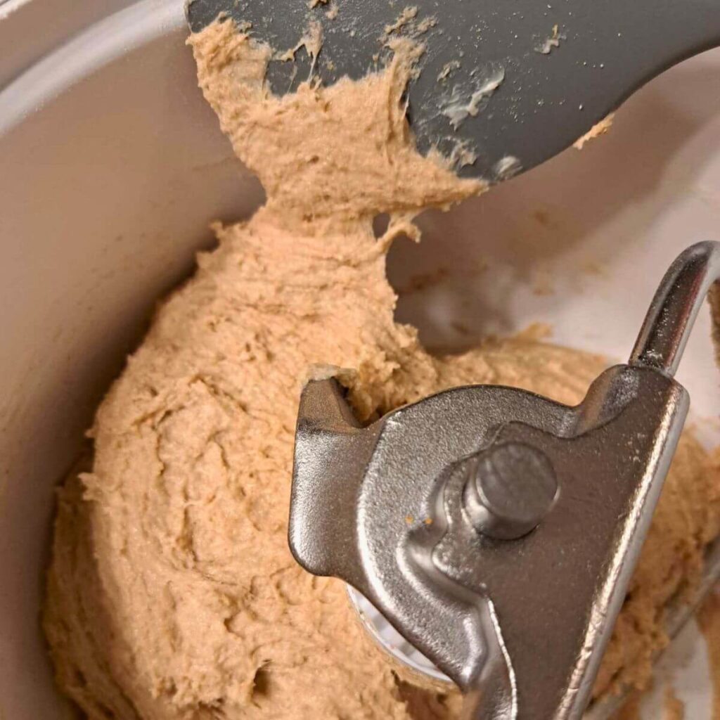 dough for homemade English muffins made with fresh milled flour