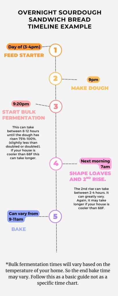 sourdough sandwich bread timeline example