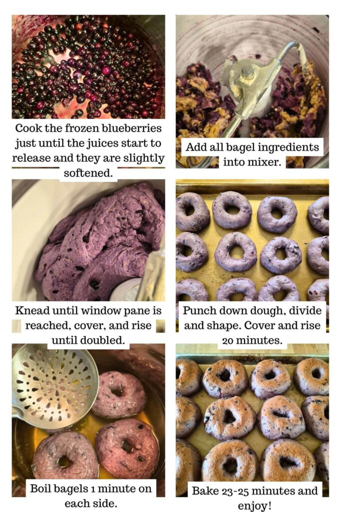 how to steps for making blueberry bagels
