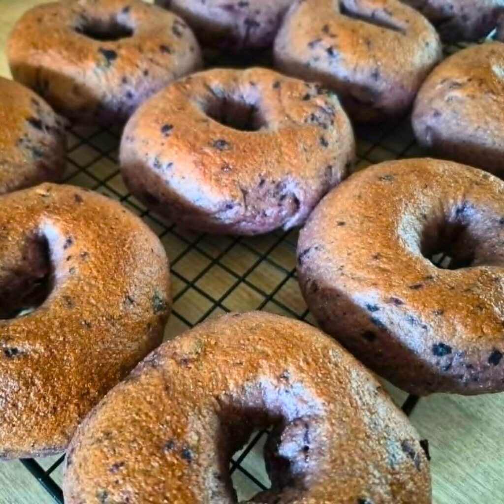 blueberry bagels made with fresh milled flour with golden brown tops on cooling rack